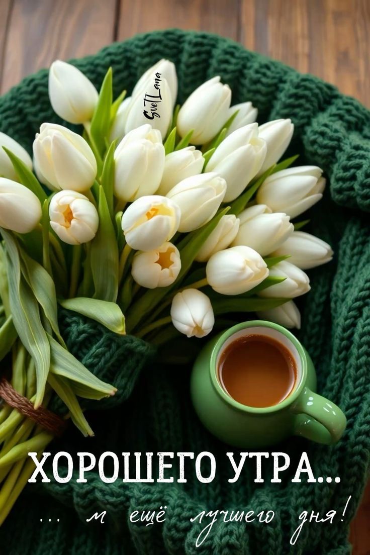 ХОРОШЕГО УТРА... ещё лучшего дня!