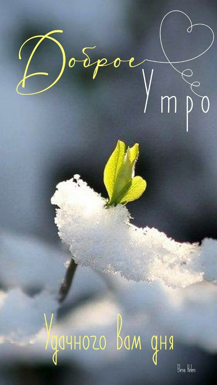 Доброе утро. Удачного вам дня.