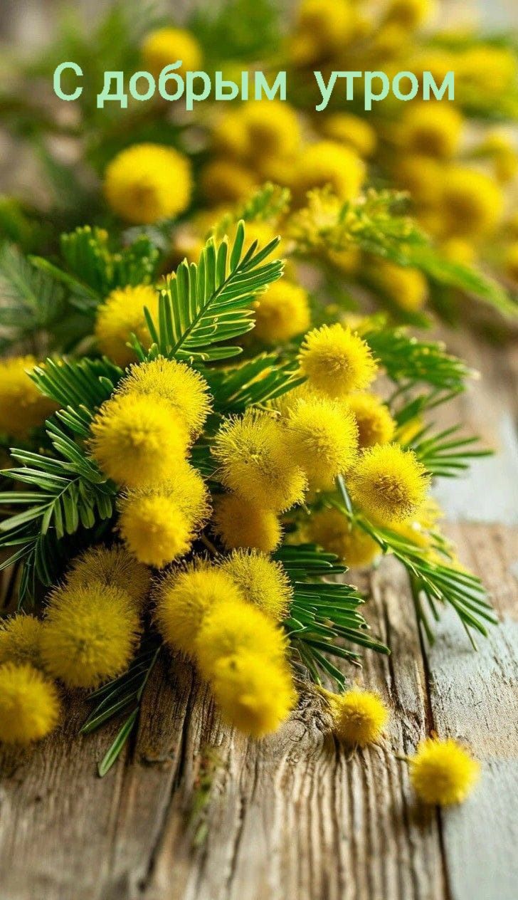 С добрым утром
