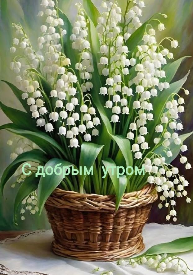 С добрым утром