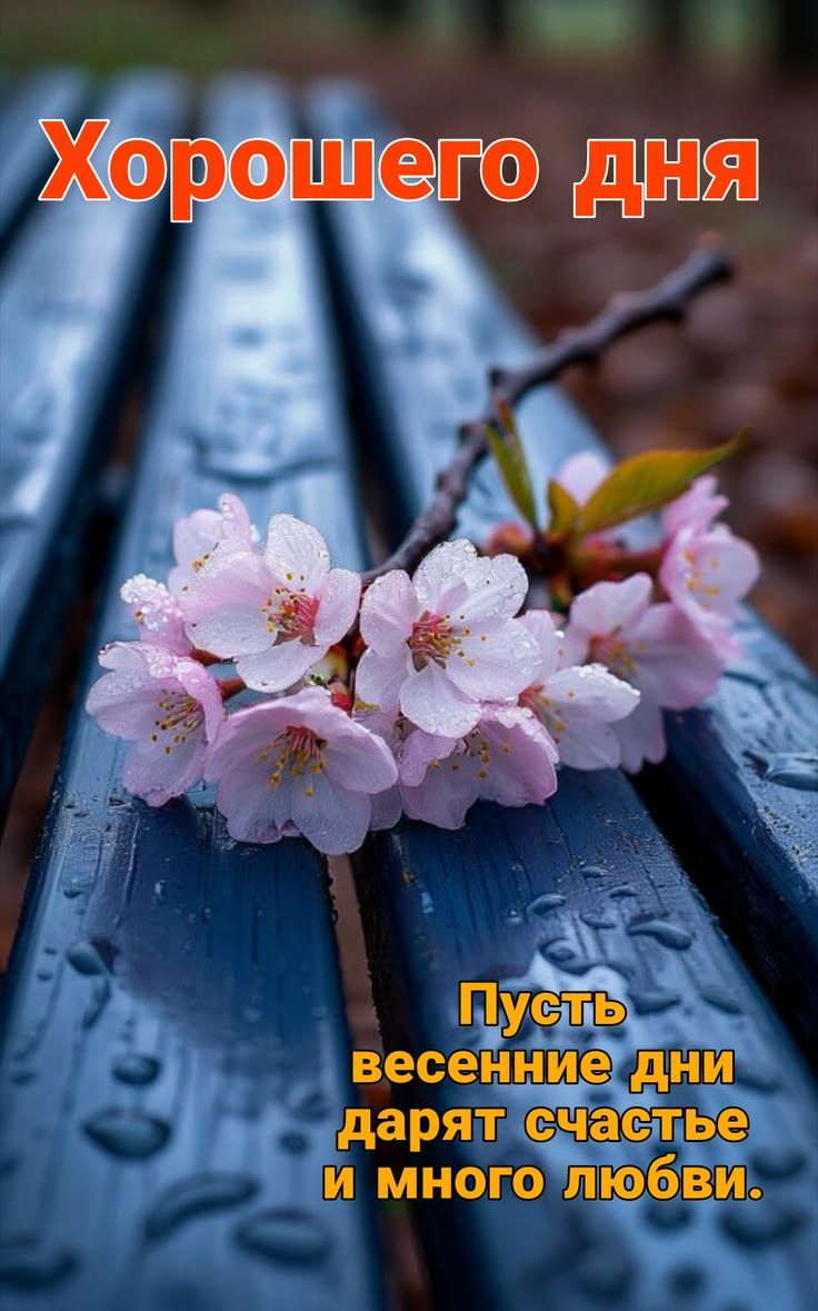Хорошего дня Пусть весенние дни дарят счастье и много любви.