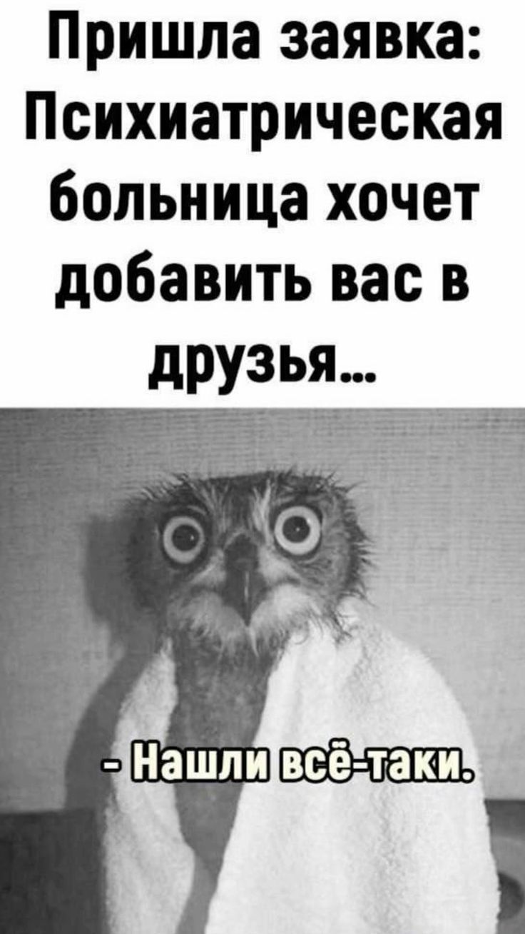 Пришла заявка: Психиатрическая больница хочет добавить вас в друзья... - Нашли всё-таки.