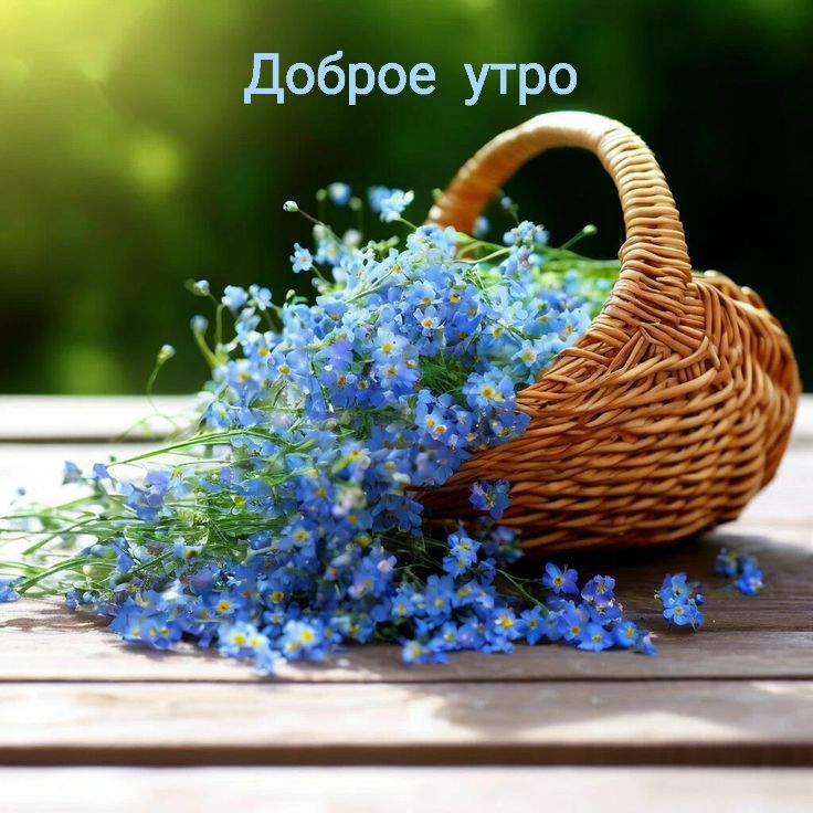 Доброе утро