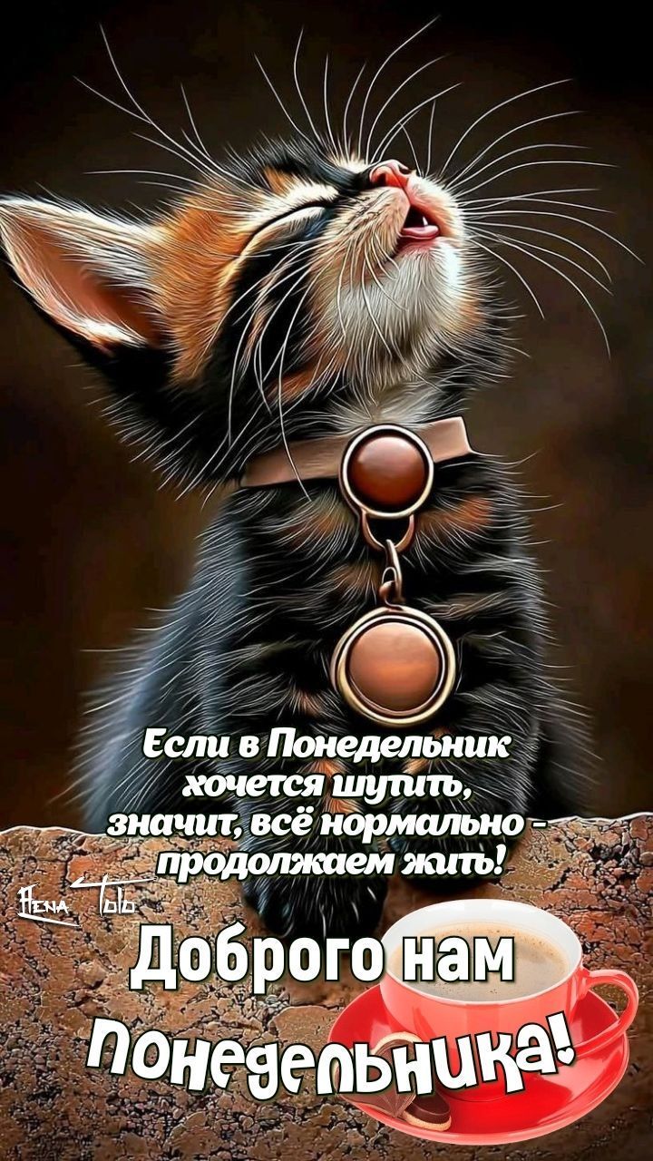 Если в Понедельник хочется идти, значит, всё нормально - продолжаем жить! Доброго нам понедельника!