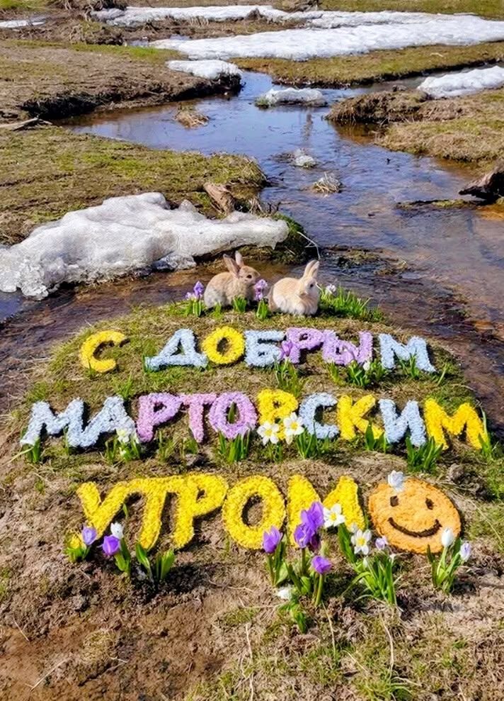 С добрым мартовским утром!