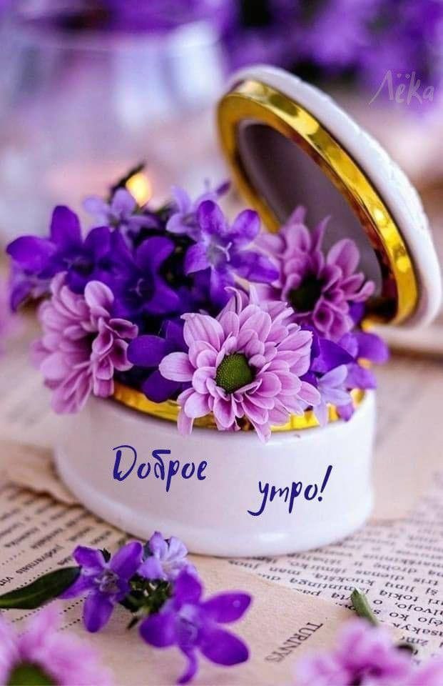 Доброе утро! Лёка