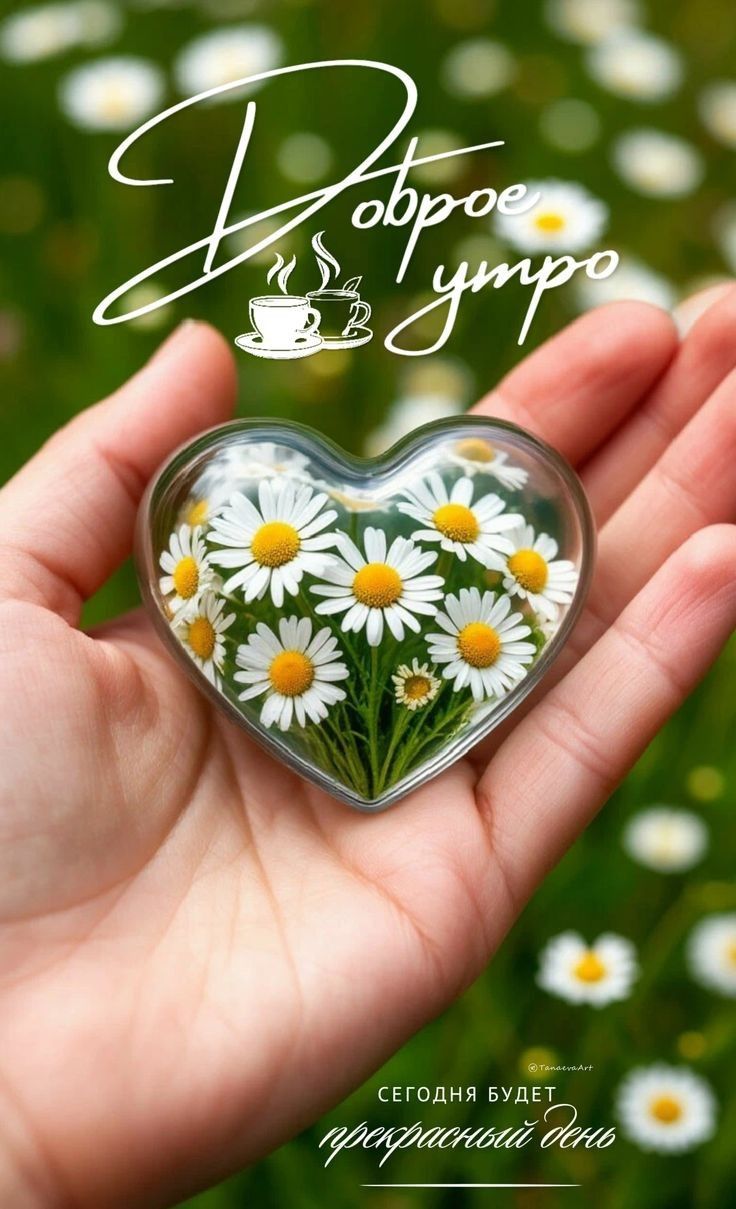 Доброе утро. Сегодня будет прекрасный день.