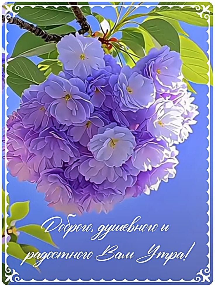 Доброго, душевного и радостного Вам Утра!