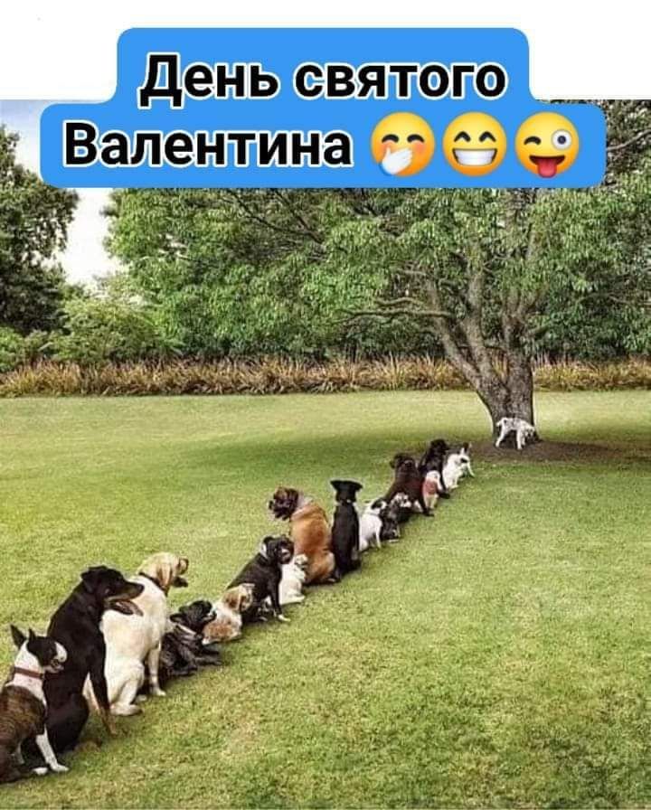 День святого Валентина 捂脸 😄 🤪