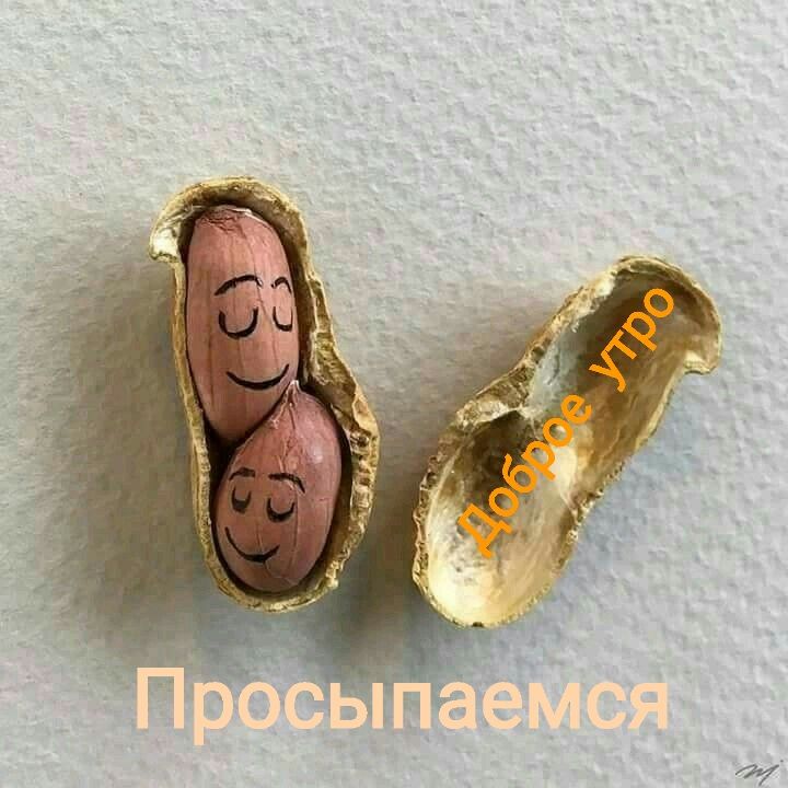 Доброе утро Просыпаемся