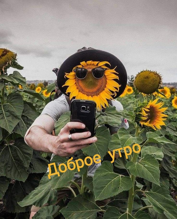 Доброе утро