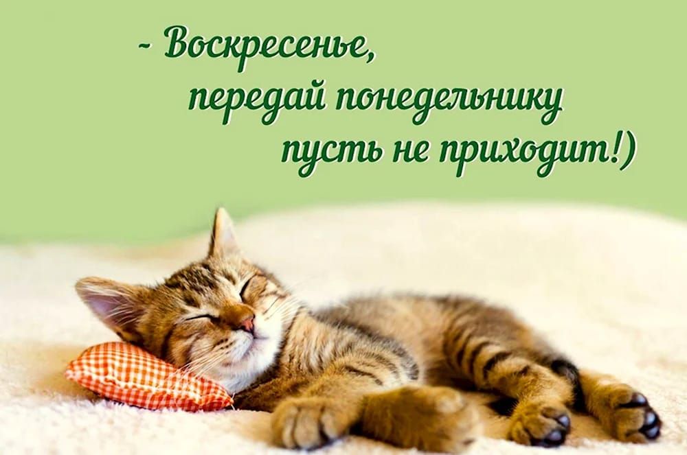 Воскресенье, передай понедельнику пусть не приходит!)