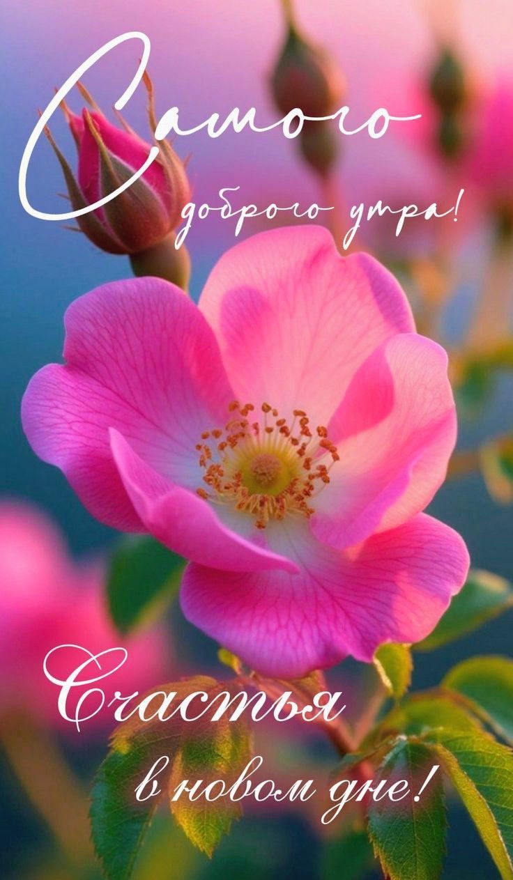 Самого доброго утра! Счастья в новом дне!