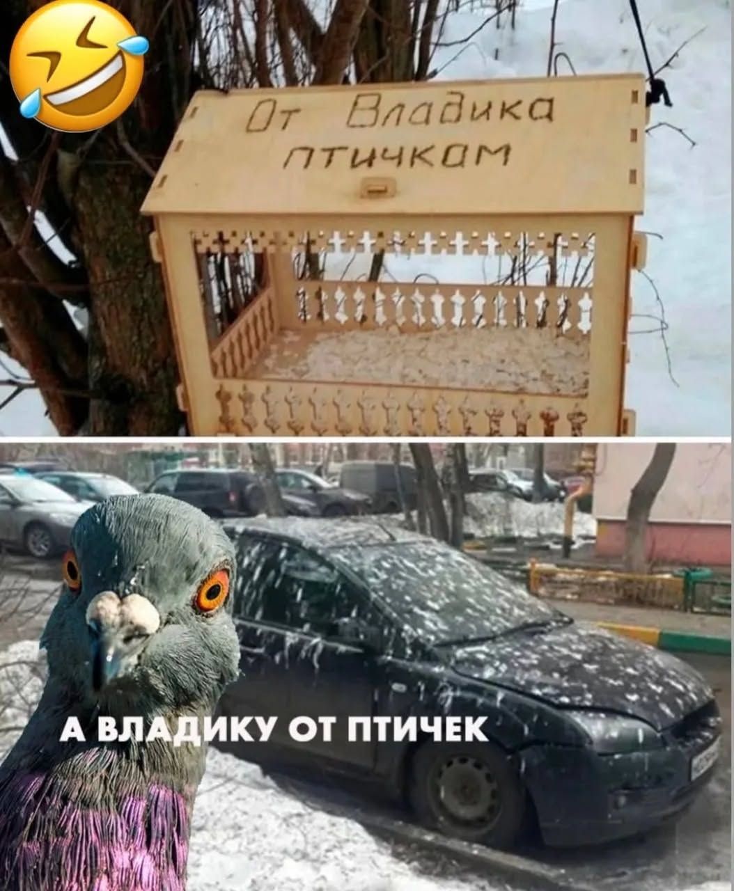 От Владика птичкам. А Владику от птичек.