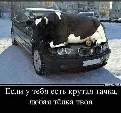 Если у тебя есть крутая тачка, любая тёлка твоя
