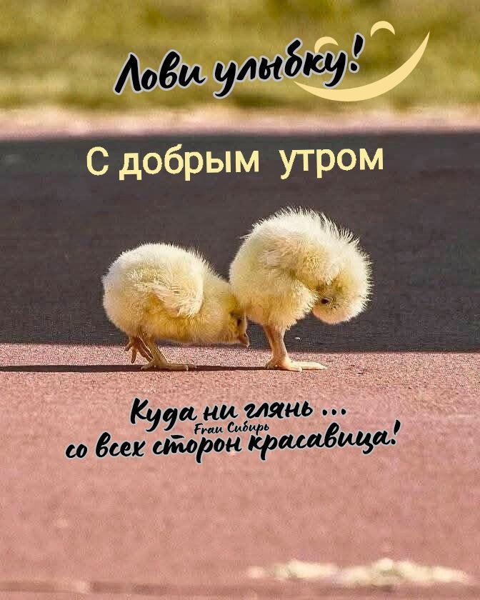 Лови улыбку! С добрым утром Куда ни глянь ... со всех сторон красавица! Frau Сибирь