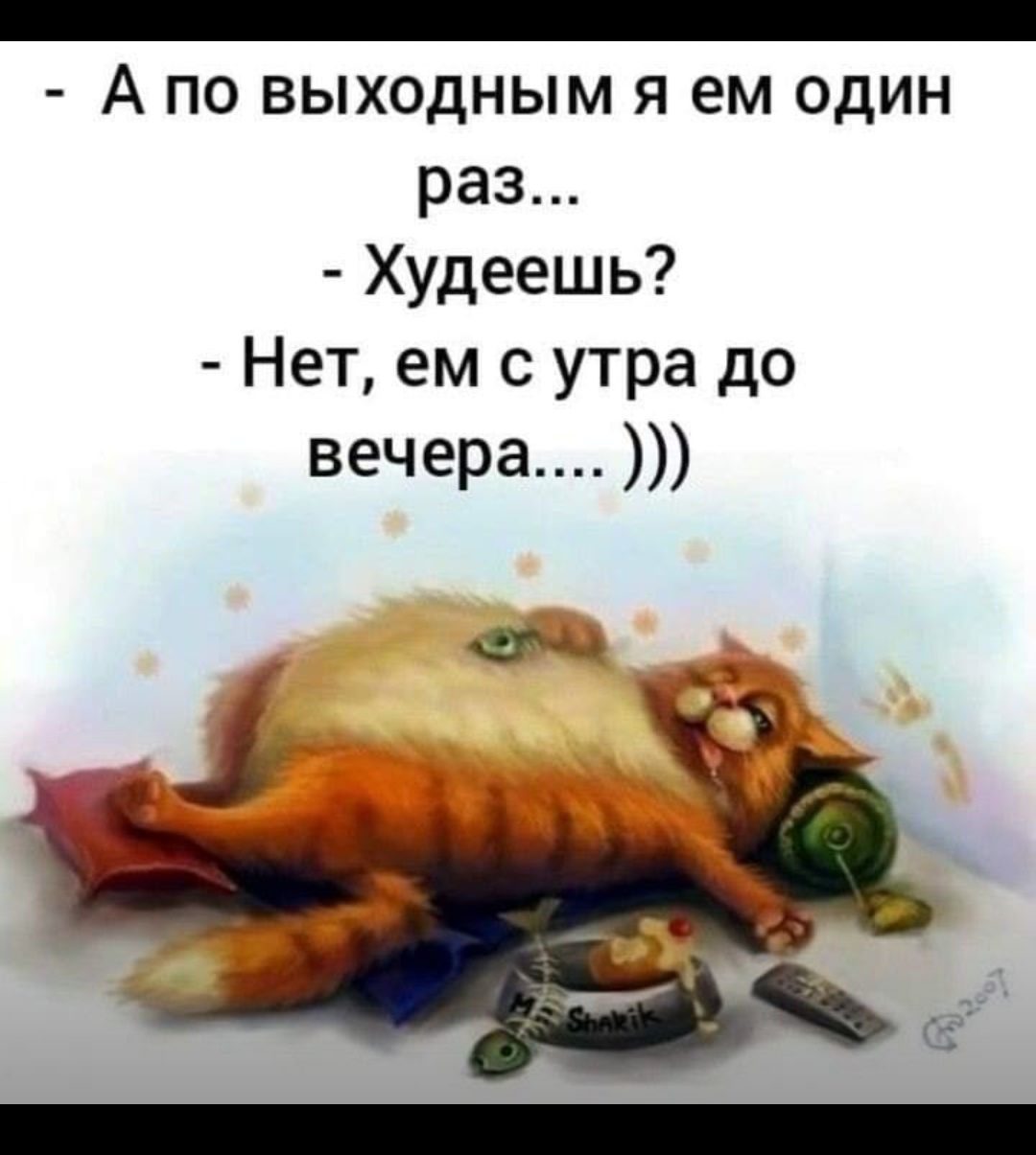 _ А ПО ВЫХОДНЫМ Я ем ОДИН раз Худеешь Нет ем с утра до вечера