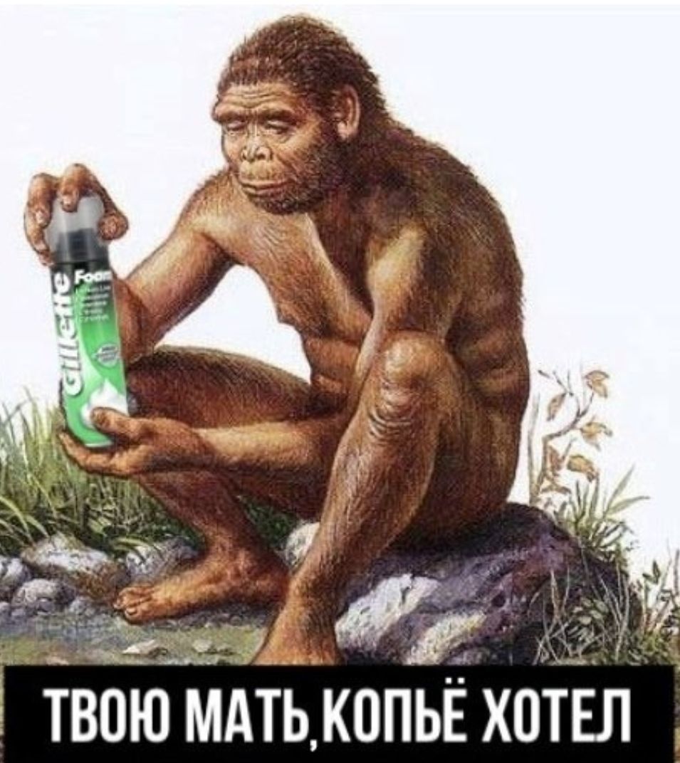 ТВОЮ МАТЬ КОПЬЁ ХОТЕЛ