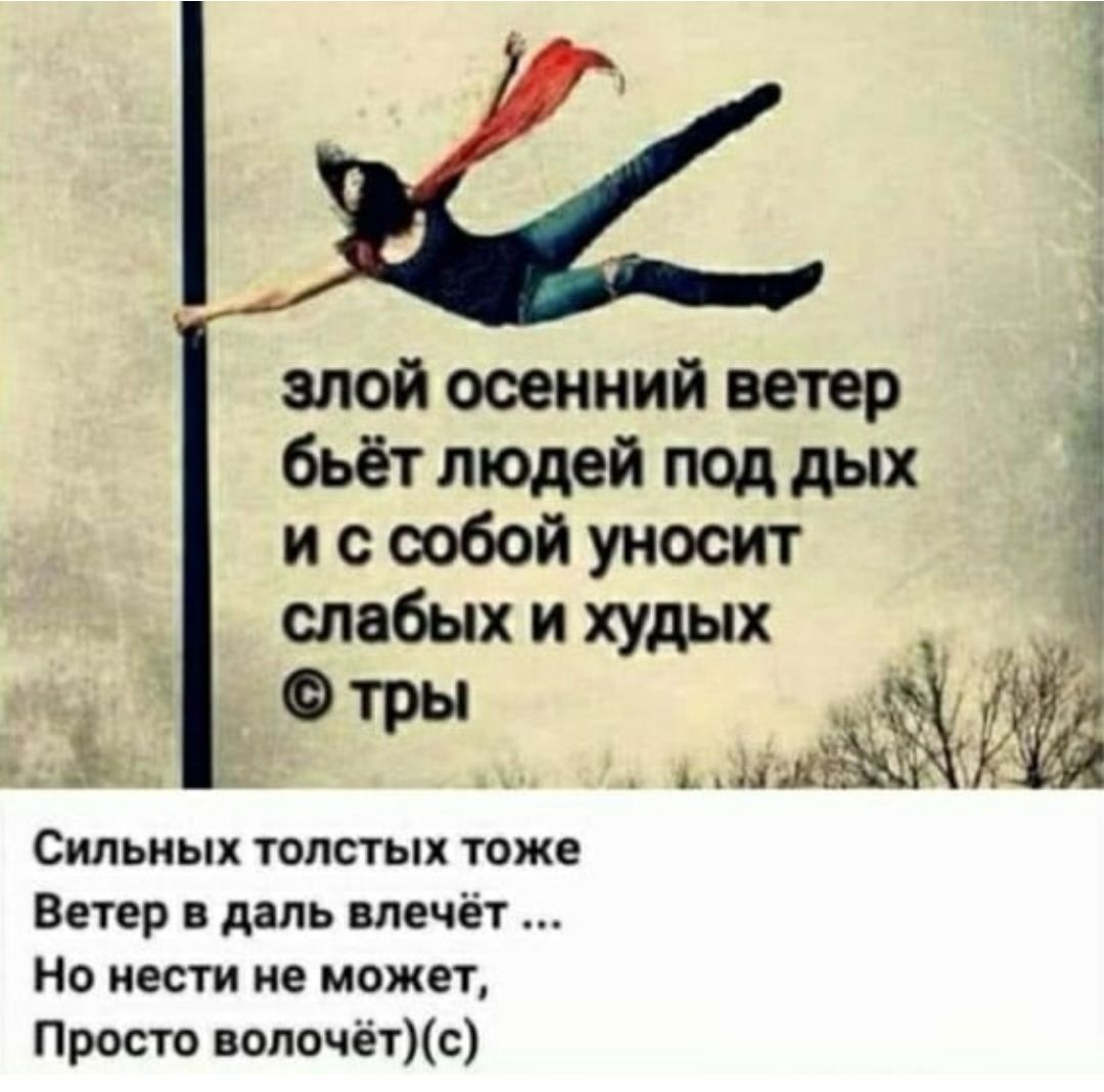 злой осенний ветер бьёт людей под дых и с собой уносит слабых и худых тры _ Л Сильных толстых тоже Ветер в даль влечёт Но нести не может Просто вопочётс