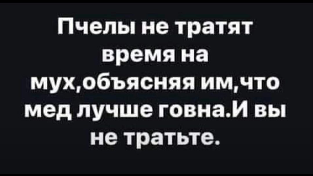Пчелы не тратят время на мухобъясняя имчто мед лучше говнаи вы не тратьте