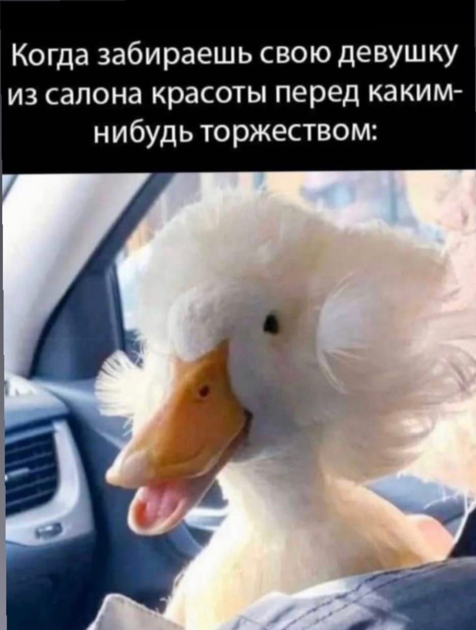 Когда забираешь свою девушку из салона красоты перед каким нибудь торжеством