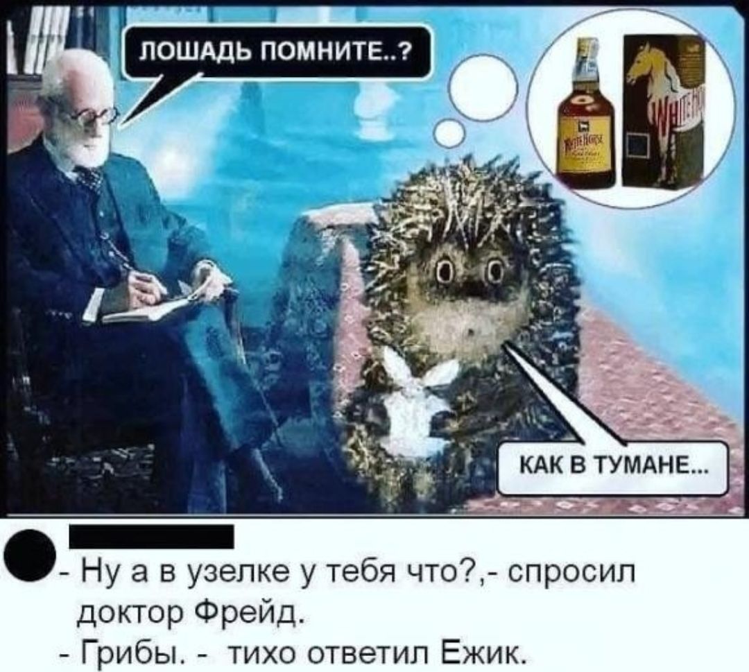 _ Ну а в узелке у тебя что спросил доктор Фрейд Грибы тихо ответил Ежик