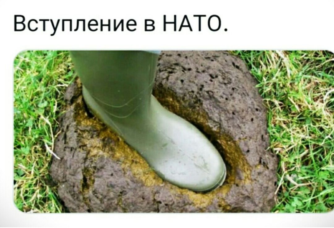 Вступление в нато.