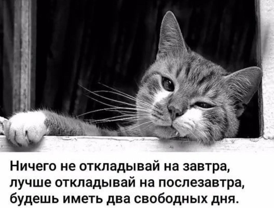 Ничего не откладывай на завтра лучше откладывай на послезавтра будешь иметь два свободных дня