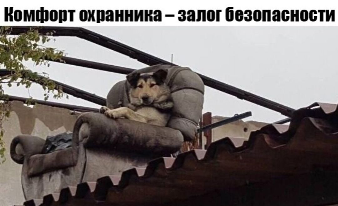 Комфопт охпаннина залог безопасности