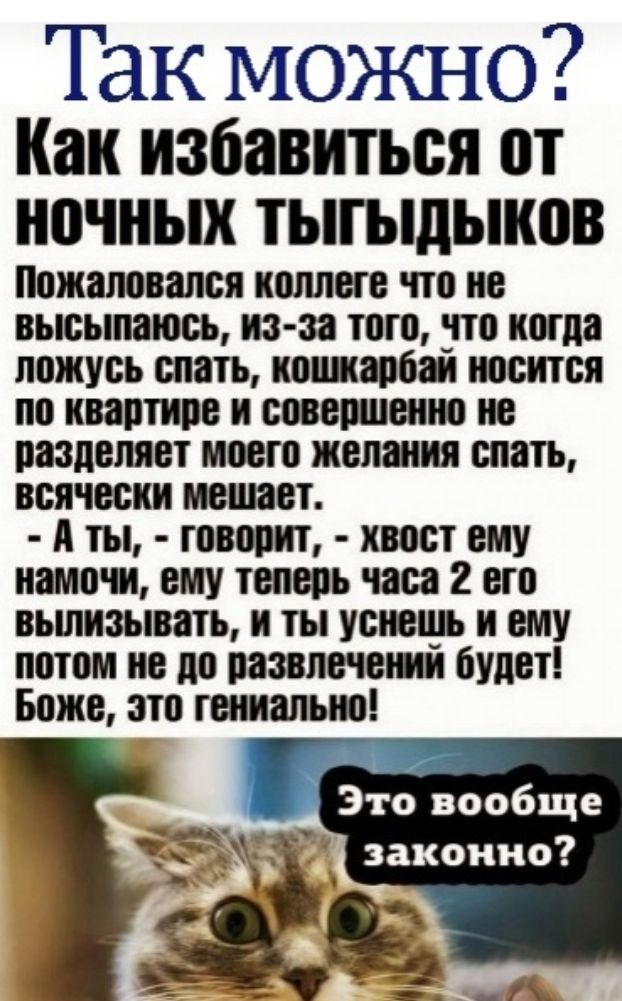 Так можно Как избавиться от ночных тыгыдынов Пожаловался коллеге что не высыпаюсь из за того по когда ложусь слать кошарош носится по квартире и совершенно не разделяет моего желания слать всячески мецтает А ты говорит хвост ему наити ему теперь чая 2 его вьшизывать и ты уснень и ему потом не до развлечет будет Боже зто гениально Это вообще