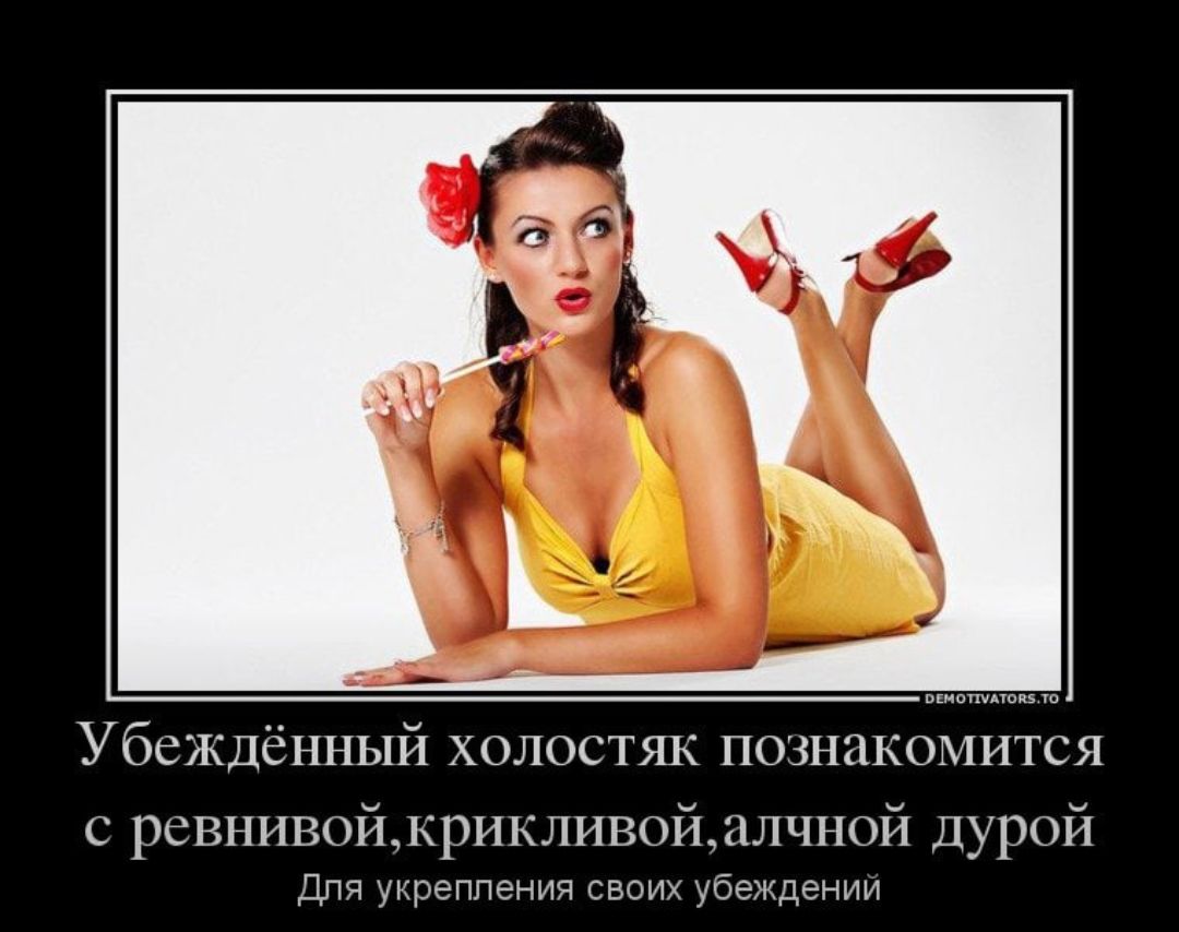 вкиотпокз ю Убеждённый холостяк познакомится с ревнивойкрикливойалчной Дурой Для укрепления своих убеждении