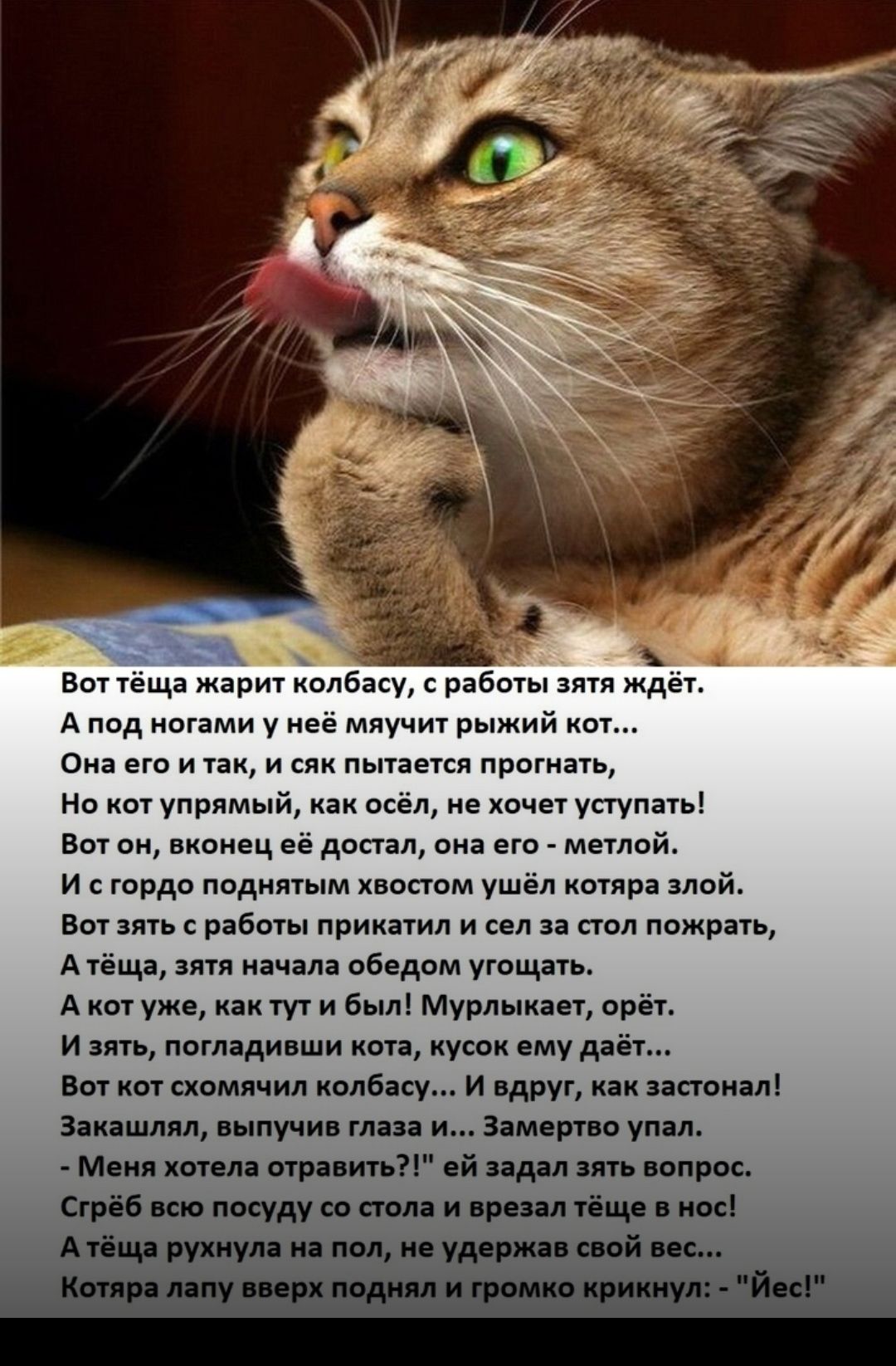 ц ъ ___ _ Вот тёща жарит колбасу с работы зятя ждёт А под ногами у неё мяучит рыжий кот Она его И ТЗК И СЯК пытается ПРОГНЗТЬ Но кот упрямый как осёл не хочет уступать Вот он вконец её достал она его метлой И с гордо поднятым хвостом ушёл котяра злой Вот зять с работы прикатил и сел за стол пожрать А тёща зятя начала обедом угощать А кот уже как тут и был Мурлыкает орёт И зять погладивши кота кусо