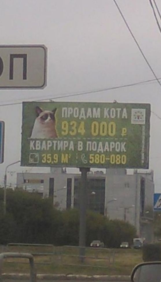 ПРОММ КОТА 7 квЪщирд в поддрок