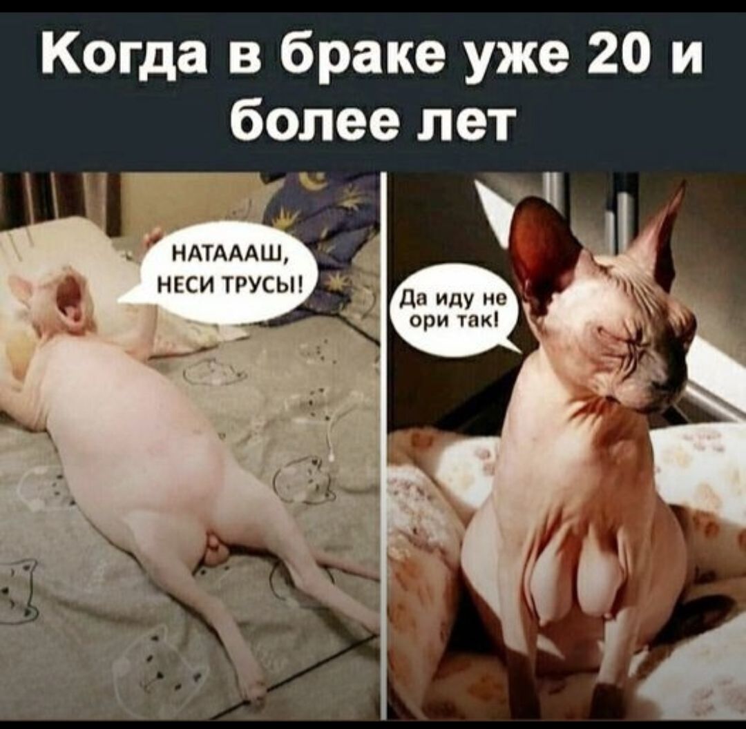 Когда в браке уже 20 и более лет Ц НАТАААШ НЕСИТРУСЫ