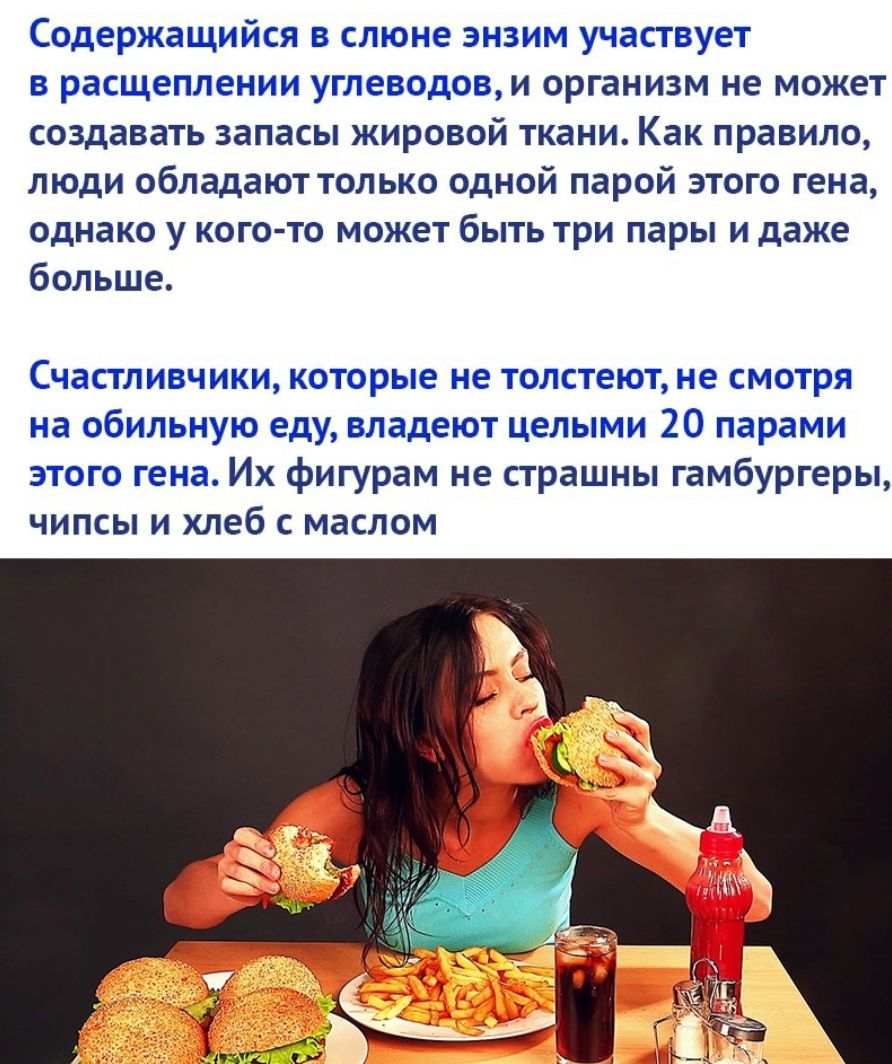 Содержащийся в слюне энзим участвует в расщеплении углеводови организм не может создавать запасы жировой ткани Как правило люди обладают только одной парой этого гена однако у кого то может быть три пары и даже больше Счастливчики которые не толстеют не смотря на обильную еду владеют целыми 20 парами этого гена Их фигурам не страшны гамбургеры чипсы и хлеб с маслом