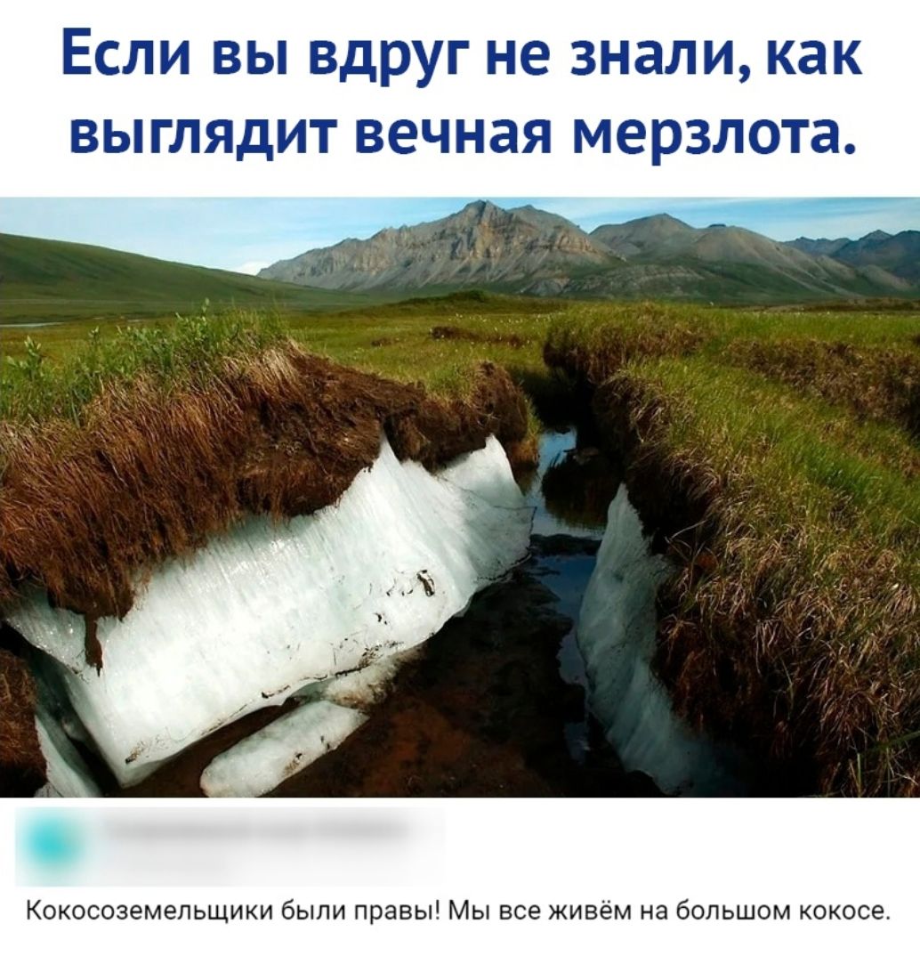 ЕСЛИ ВЫ вдруг не знали как ВЫГЛЯДИТ ВЭЧНЗЯ мерзлота Кокосоземельщики были правы Мы все живём на большом кокоса