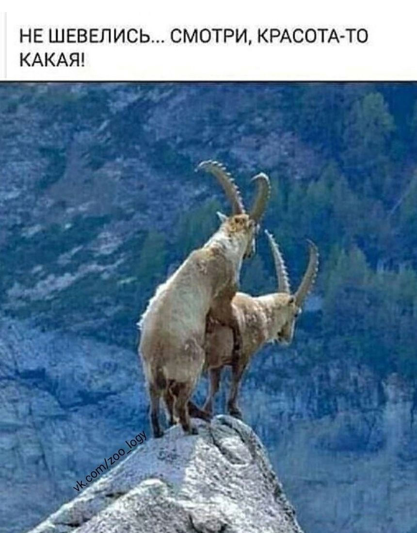 ТО КРАСОТА И Р Т О М С ь С И Л Е В Е Ш Е Н