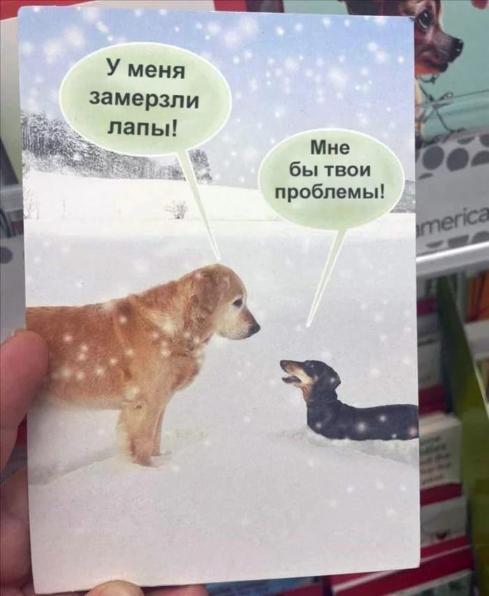 У меня замерзли Мне бы твои проблемы