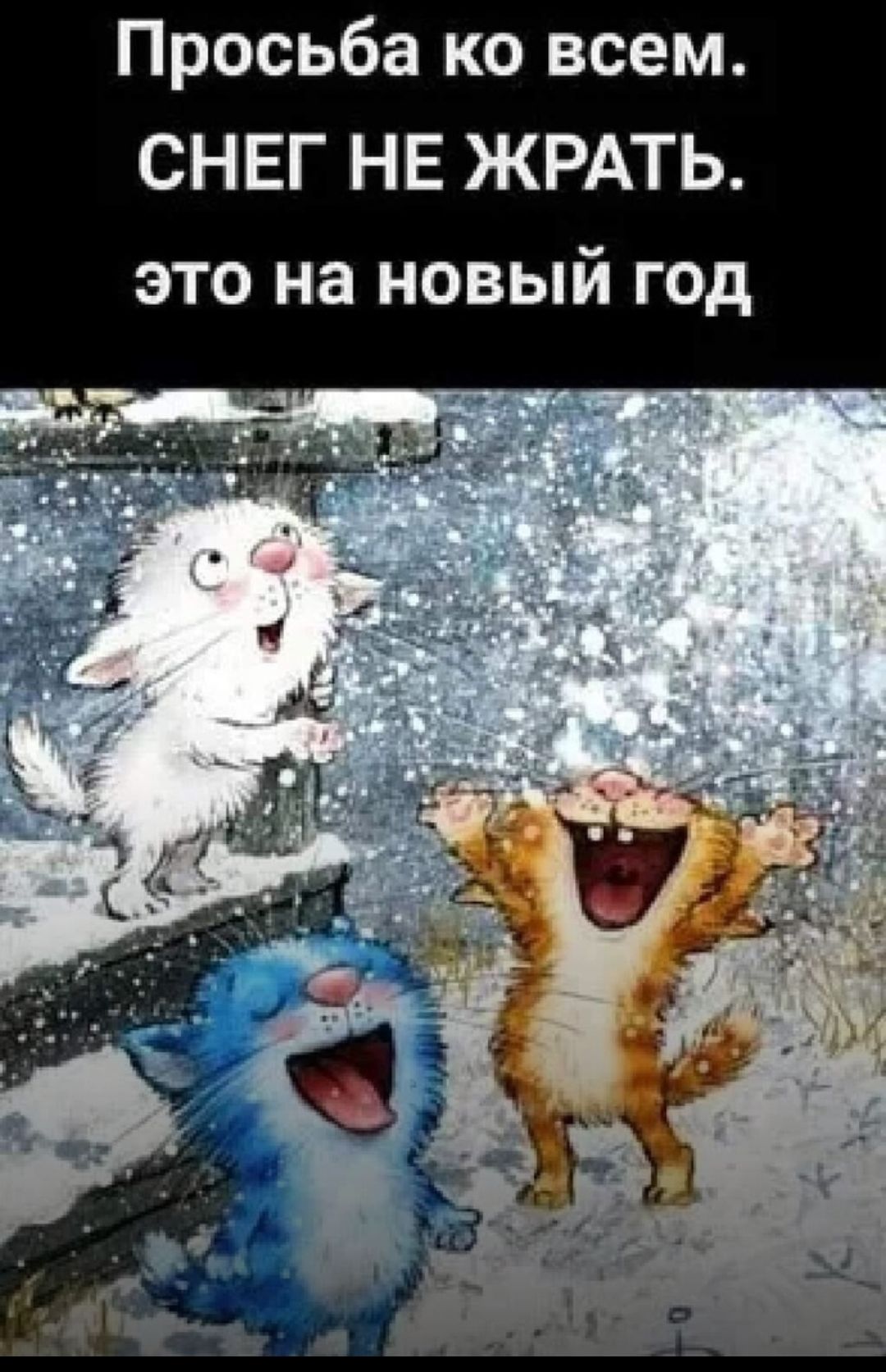 Просьба ко всем СНЕГ НЕ ЖРАТЬ это на новый год