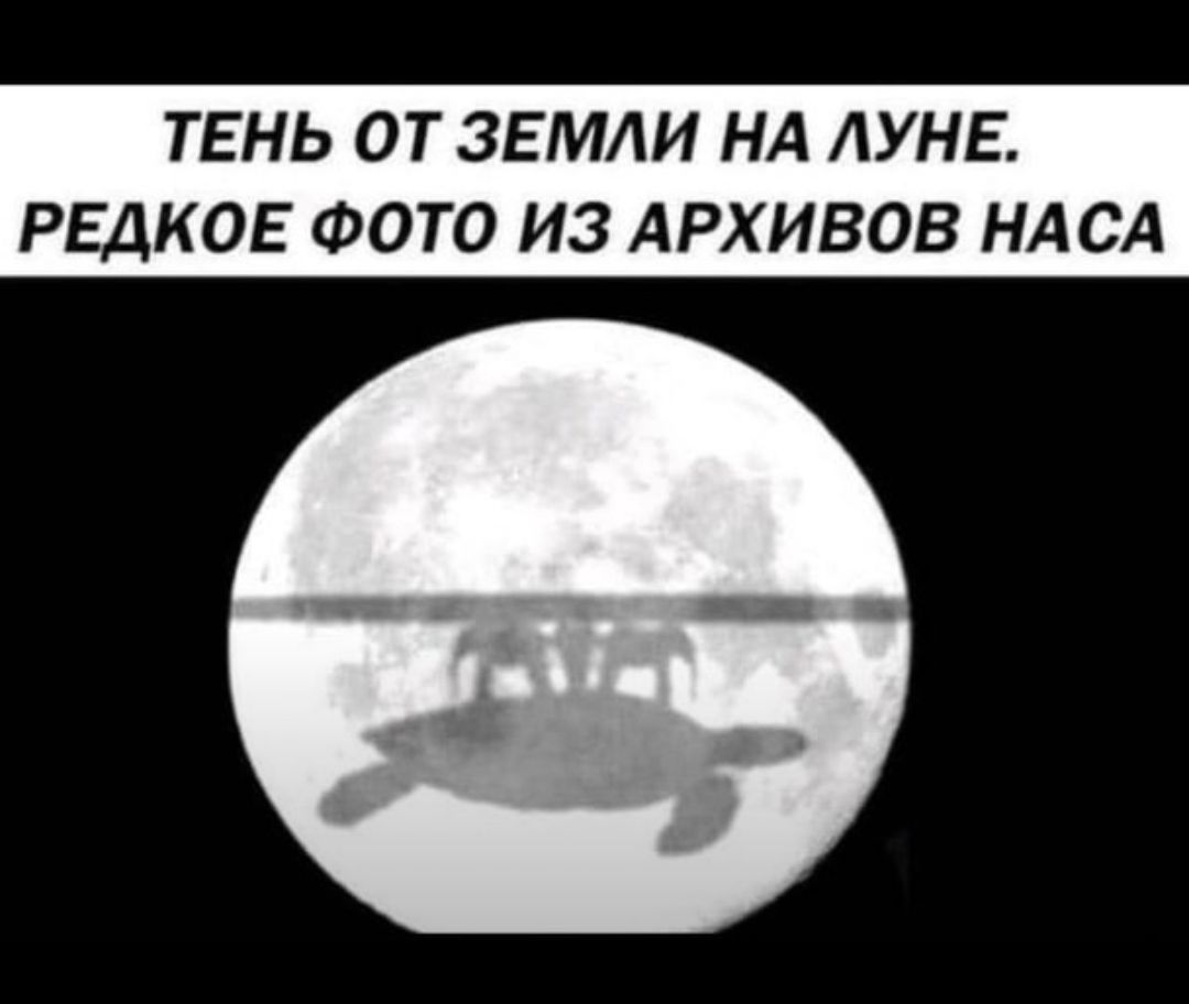 ТЕНЬ ОТ ЗЕМЛИ НА АУНЕ РЕДКОЕ ФОТО ИЗ АРХИВОВ НАСА