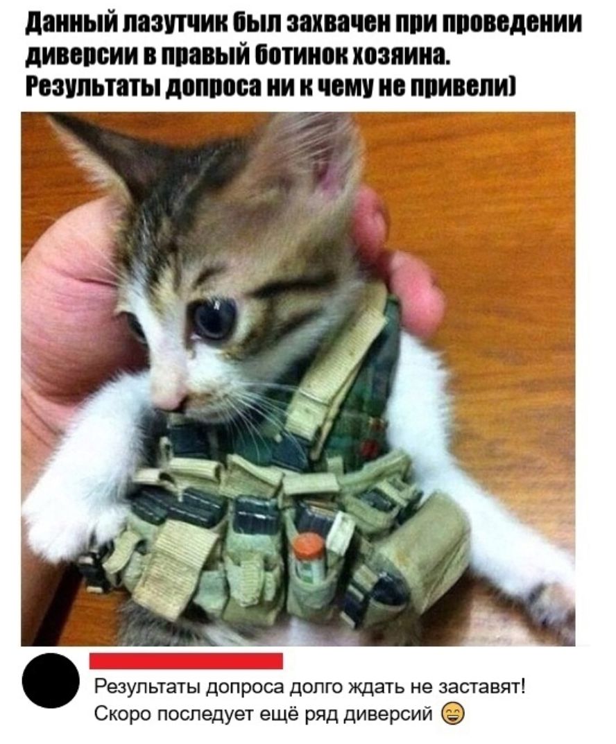 данный пазтии был ЗЯХВЯЮН ПОБЕДЫ дИВОВБИИ В ППЁВЫЙ ботинок хозяина РЕЗУЛЬТЁПЫ доппоса ЧВМУ О ППИВВЛИ Результаты допроса долго ждать не заставят Скоро последует ещё ряд диверсий