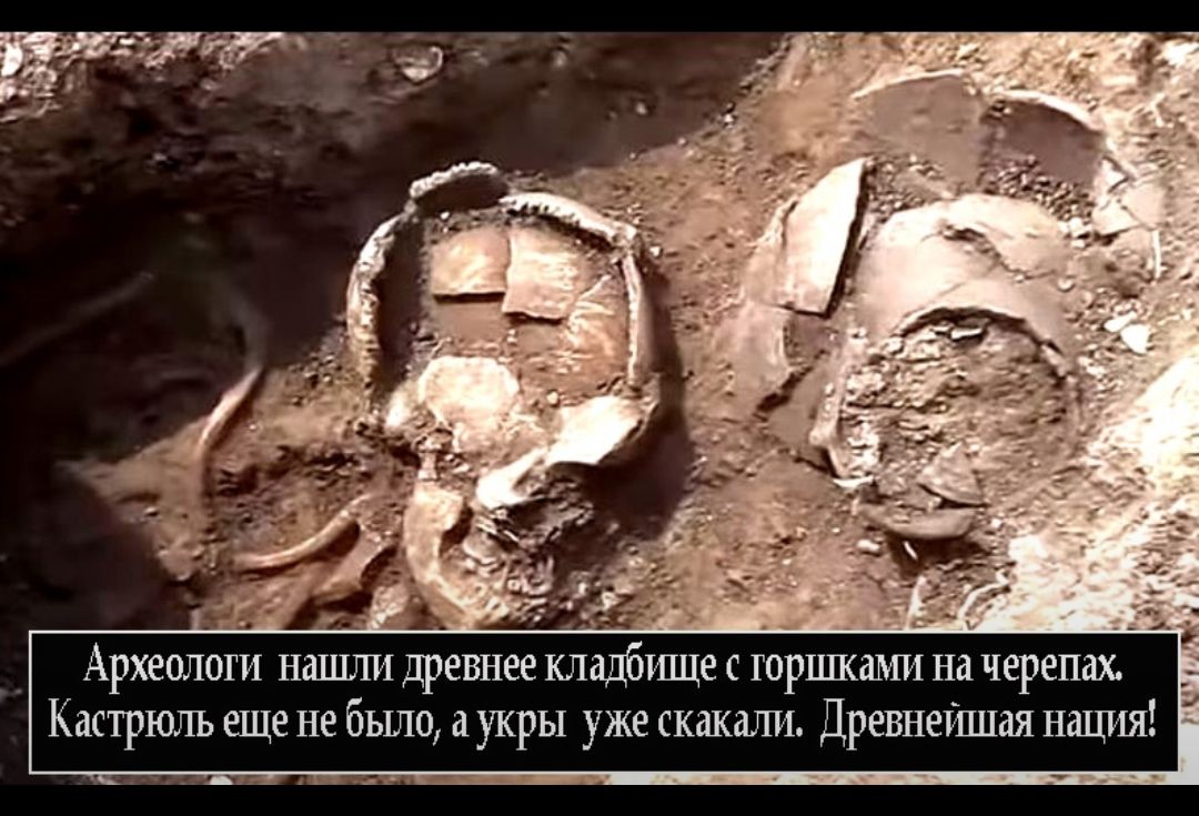 Археологи н Кастрюль еще не был ашпи дре __ о укры уже скакали Древнейшая нация