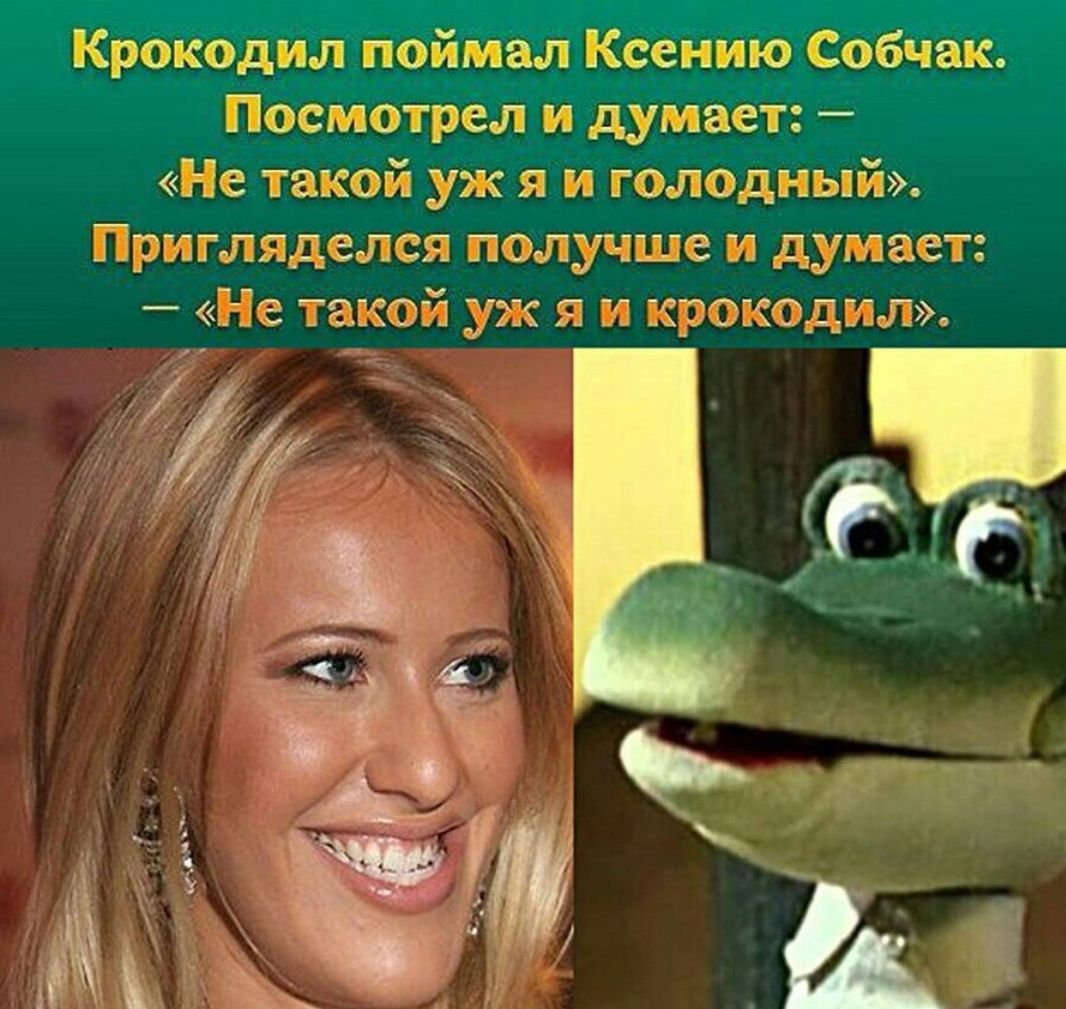 Крокодил поймал ксению собчак. Посмотрел и думает:  «не такой уж я и голодный». Пригляделся получше и думает:  «не такой уж я и крокодил».