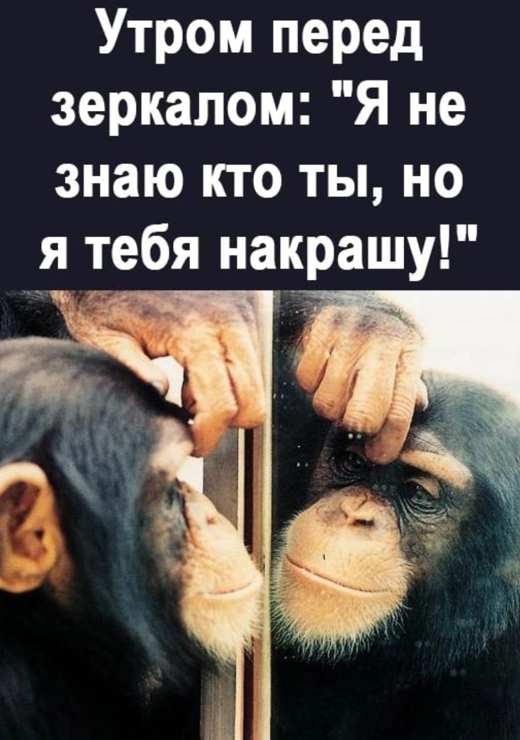 Утром перед зеркалом Я не знаю кто ты но я тебя накрашу