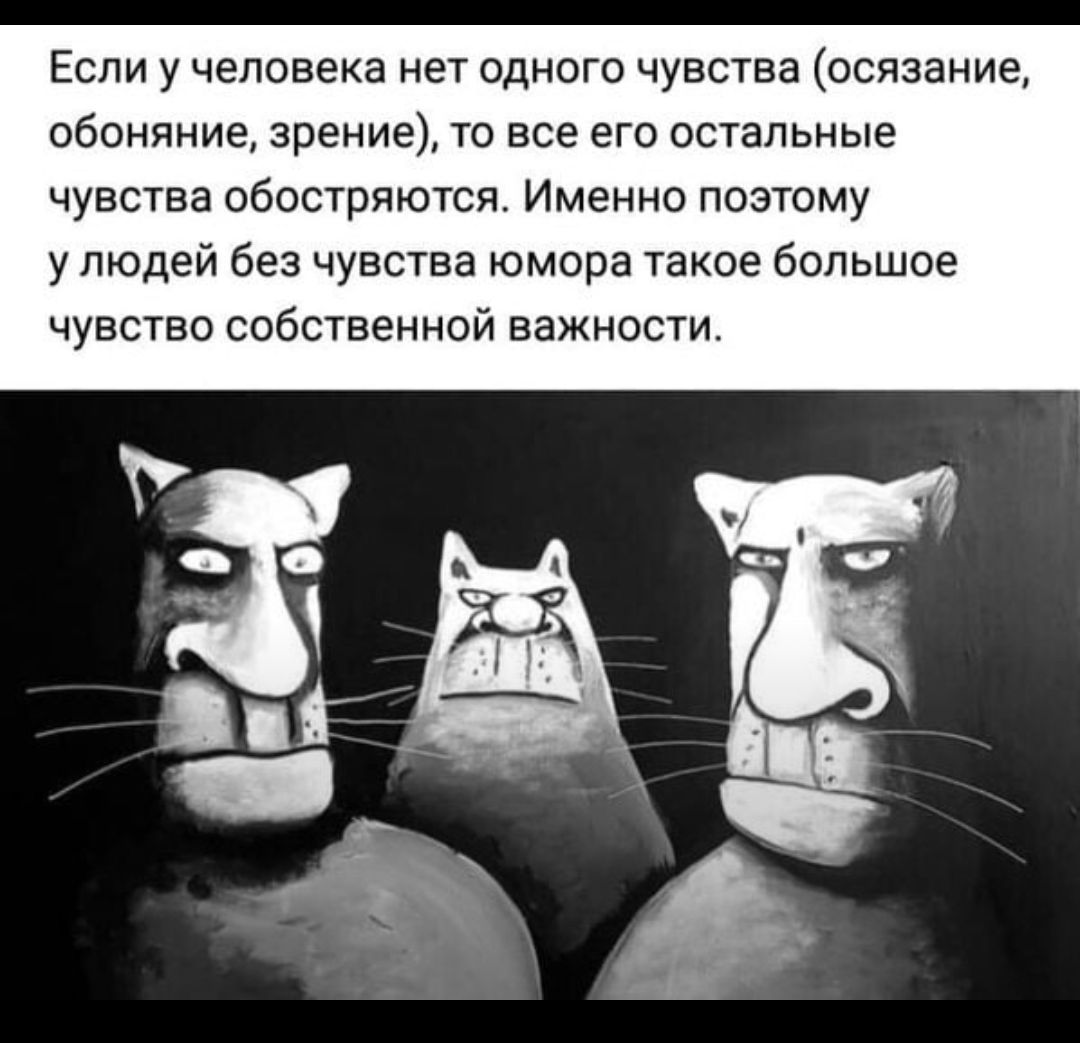 Если у человека нет одного чувства осязание обоняние зрение то все его остальные чувства обостряются Именно поэтому у людей без чувства юмора такое большое чувство собственной важности