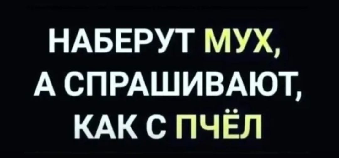 НАБЕРУТ МУХ А СПРАШИВАЮТ КАК С ПЧЁЛ