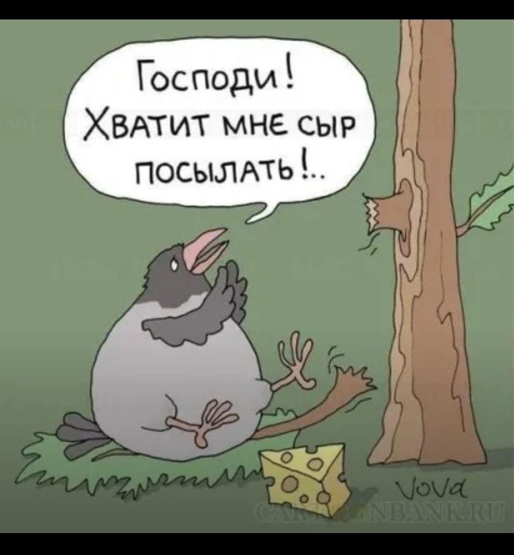 Господи! Хватит мне сыр посылать!..