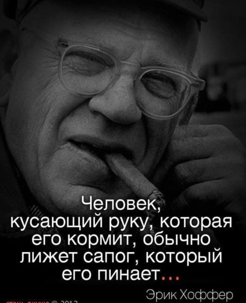 Чоповек кусающии руку которая его кормит обычно лижет сапог который его пинает Эрик Хоффер