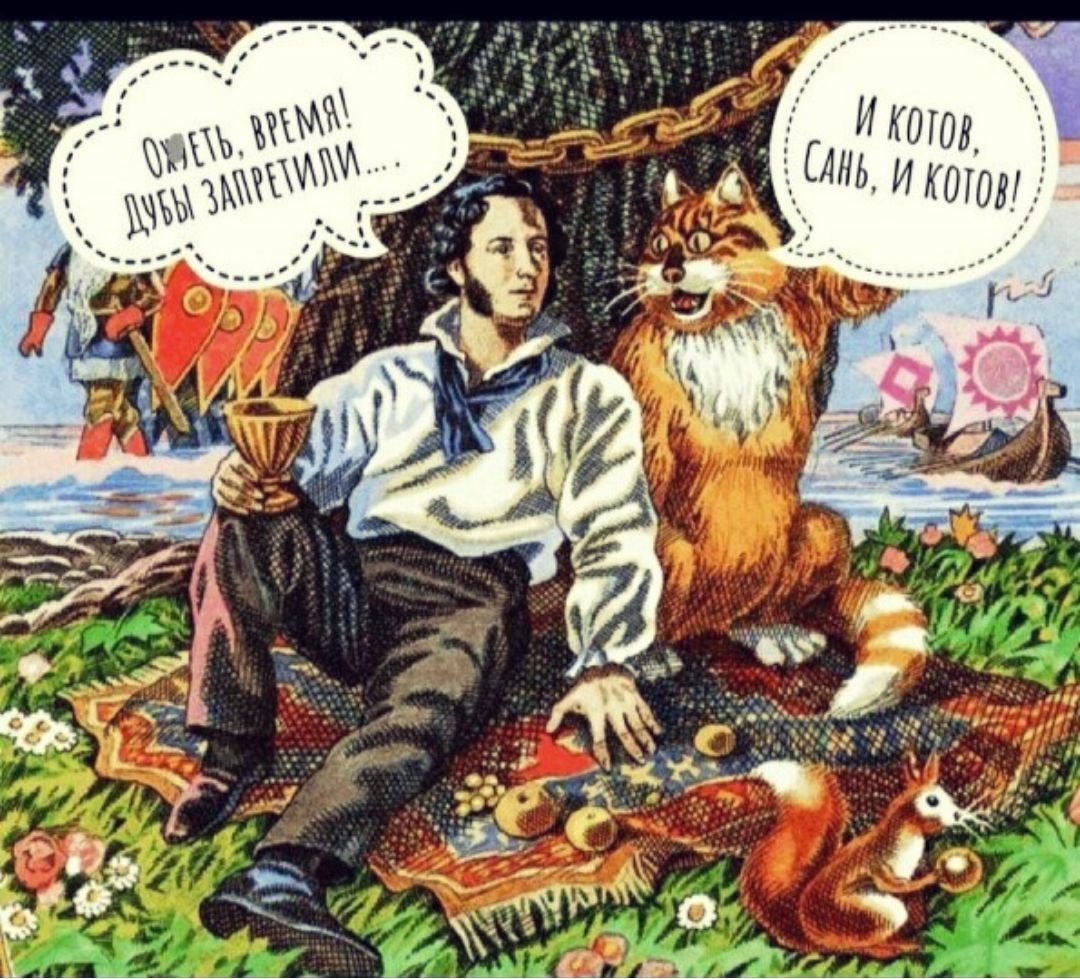 Й кот, сь и котор!