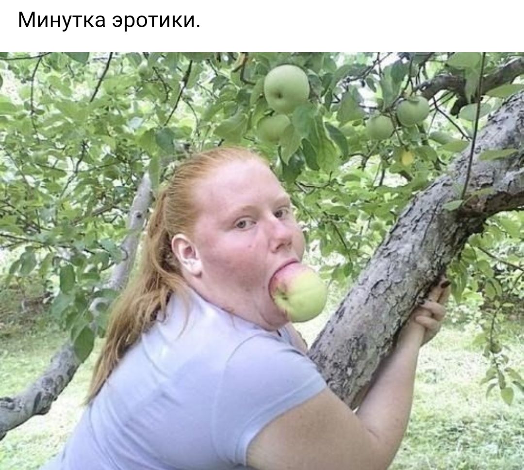 и К И Т О 0 Э 8 К Т У Н И М